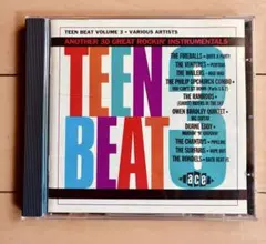 TEEN BEAT VOLUME 3 CD