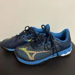 MIZUNOウエーブエクシードライト 2 OC【23.0cm】