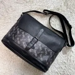 美品✨ coach コーチ ショルダーバッグ ホースキャリッジ pvc レザー