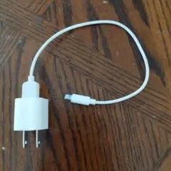 Apple Lightningケーブル A1316 ホワイト
