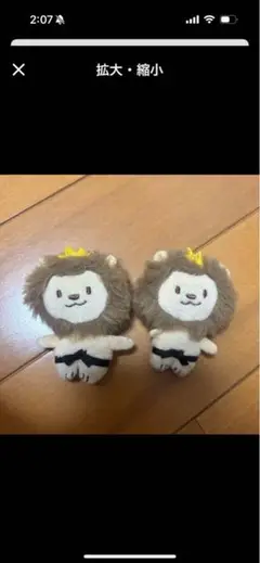 marumaru様宛ての確認ページです