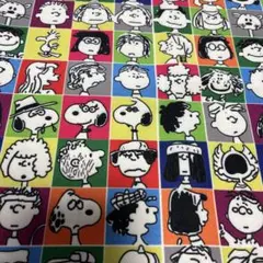 スヌーピー ピーナッツ 生地　USAコットン