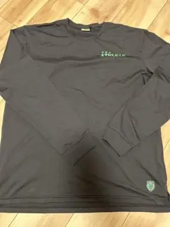 Item thumbnail for item 24efd444-8488-4170-be29-eec1aebae37a