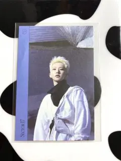seventeen セブチ　sector17 ホシ　シール