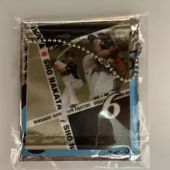 北海道日本ハムファイターズ 中田翔 記念グッズ 6