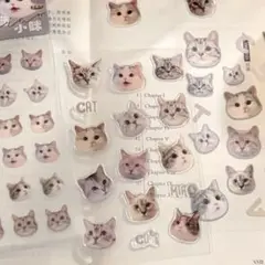 Item thumbnail for item 78f2c1ec-cebe-469b-a0c3-b82a3c842425