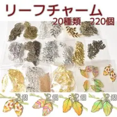 リーフチャーム 20種類【220個】まとめ売り(LF20)