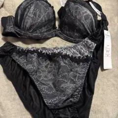 Elegante ブラジャーショーツセット B100 5L