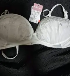 Item thumbnail for item 7788b9a9-3644-4eb0-bf35-e43697bf499d