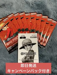 受け継がれる意志10パックセット(おまけ付き)