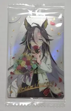 【24時間以内発送】ドリームジャーニー　ウマ娘