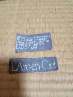 L'Arc-en-Ciel パーカーのタグセット
