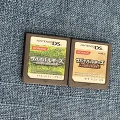 サバイバルキッズ 2本セット DS