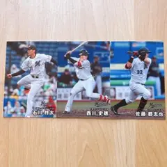 プロ野球チップス 2025 第二弾 ロッテ 3枚