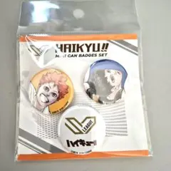 ハイキュー　SV　リーグチャンピオンシップ　 ミニ缶バッジセット