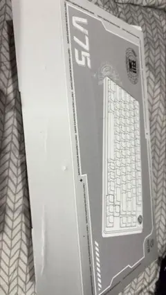 V75 RGBキーボード パープル