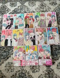 月のお気に召すまま　全巻セット