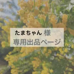 たまちゃん様　専用出品