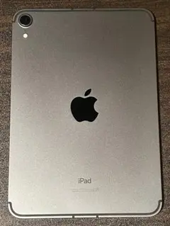 iPad mini 6 Cellular モデル 256 GB スペースグレー