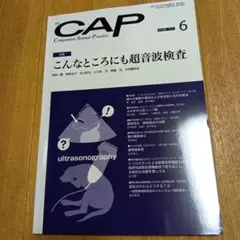 裁断済み　CAP 2023年6月号 超音波検査特集