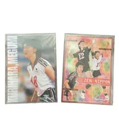 2点セット❣️下敷き 全日本女子バレーボール ワールドカップ 栗原恵 大懸郁久美