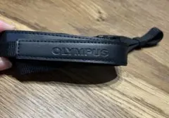 Item thumbnail for item 46ab5bca-5859-4cf6-8f57-6e2db7218ab7