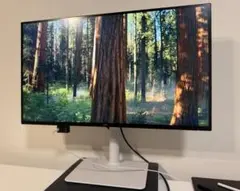 8/22発送 Dell 27 Plus 4K USB-Cモニター S2725QC