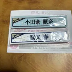 Item thumbnail for item c64e06fa-6639-4566-b2a5-024bb96ad909
