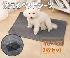 Item thumbnail for item 4fb18734-c323-49f4-ab07-15578ef04988