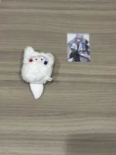 どぬく　カラピチ　セット