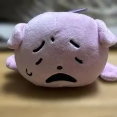 訳あり　にしむらゆうじ 考えすぎぴこちゃん うさぎの家の上でひるねする会