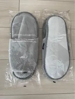 Item thumbnail for item dd93a336-05b9-4916-b8c2-3dcfaab162f7