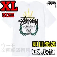 STUSSY WREATH TEE ホワイト XLサイズ ステューシー