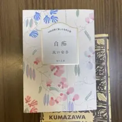100分間で楽しむ名作小説 白痴