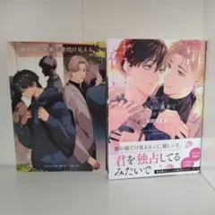 晴れない世界で君だけ見える／三日ミタ