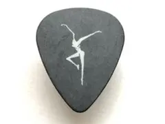【希少】 Dave Matthews Band ギターピック