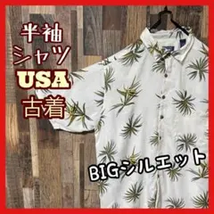 Item thumbnail for item 3575bcf3-78d8-439d-8c0e-aeb9cea4f685