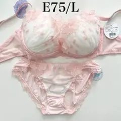 定価4950円【シアーガーデニア】 E75/L 上下セット SP