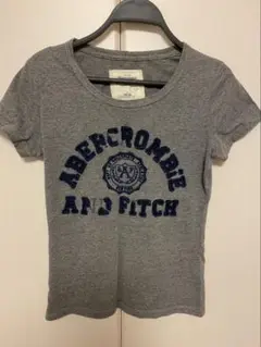 Abercrombie & Fitch グレー Tシャツ Lサイズ