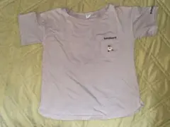 TeddyBear テディーベア ベージュ 半袖Tシャツ Lサイズ