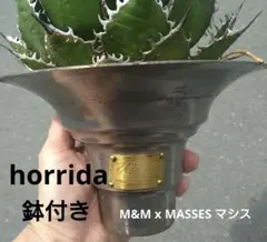 2025年最新】masses 鉢 m&mの人気アイテム - メルカリ