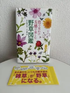 【美品】色で見わけ五感で楽しむ野草図鑑