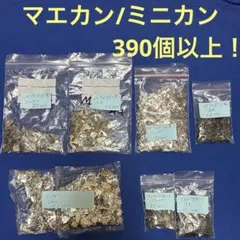 前カン　マエカン　ホック　大量！