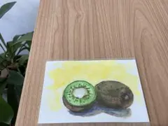 ★ 母の手作り　絵手紙　★ キウイ