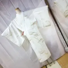 長襦袢・正絹 ☆ 『 703 』☆ ( 159㎝前後の方)