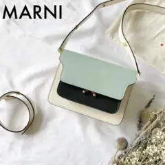 極美品 マルニ トランクミニ バッグ TRUNK MINI ショルダーバッグ