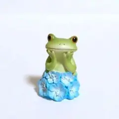 コポー カエル ネモフィラ畑のカエル