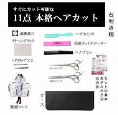 11点セットスキ率20% すきばさみ 6インチ ヘアカットハサミ 散髪用マント付