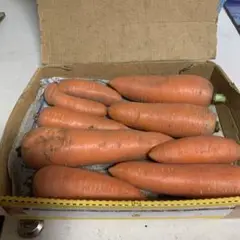 # 無農薬 ぶさいくにんじん