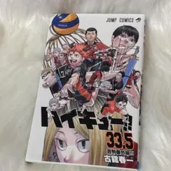 ハイキュー!! 33.5巻　ゴミ捨て場の決戦　古舘春一　映画特典